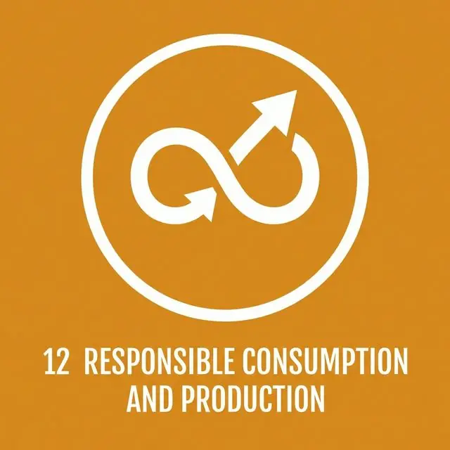 SDG 12